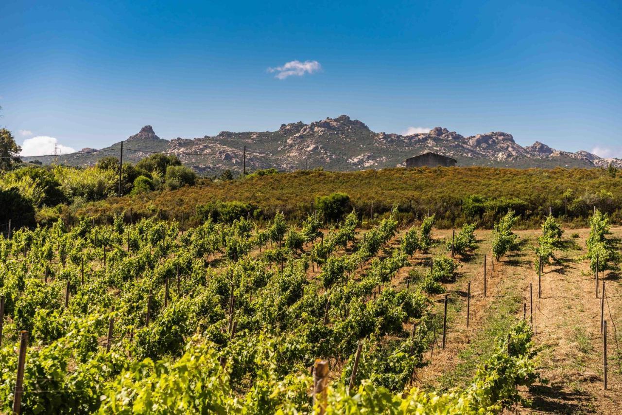 Locanda In Vigna Arzachena Luaran gambar