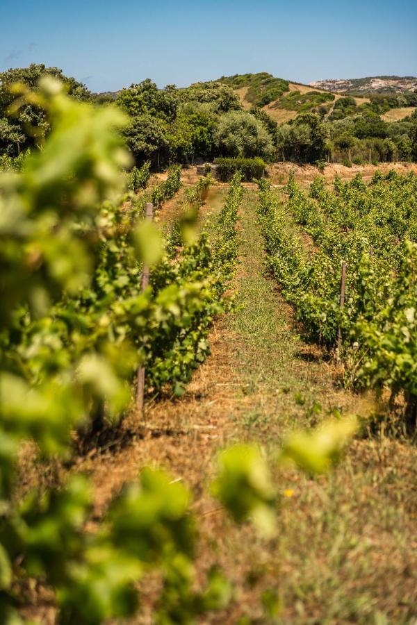 Locanda In Vigna Arzachena Luaran gambar