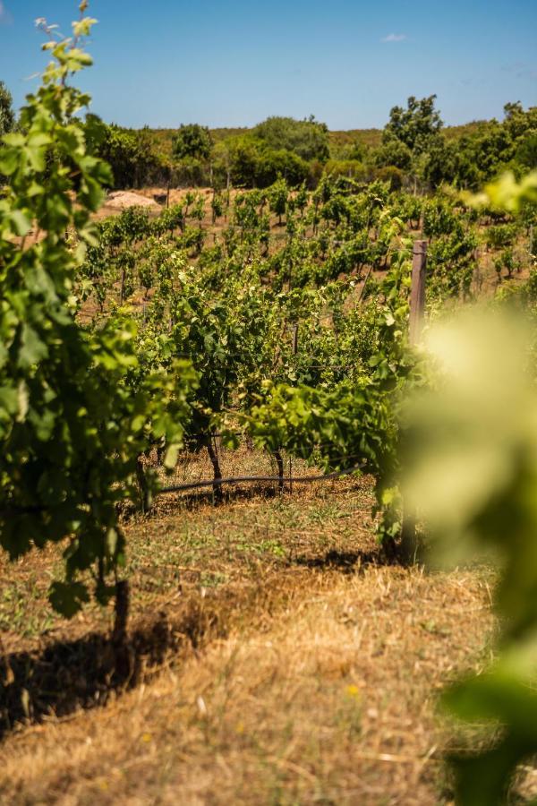 Locanda In Vigna Arzachena Luaran gambar