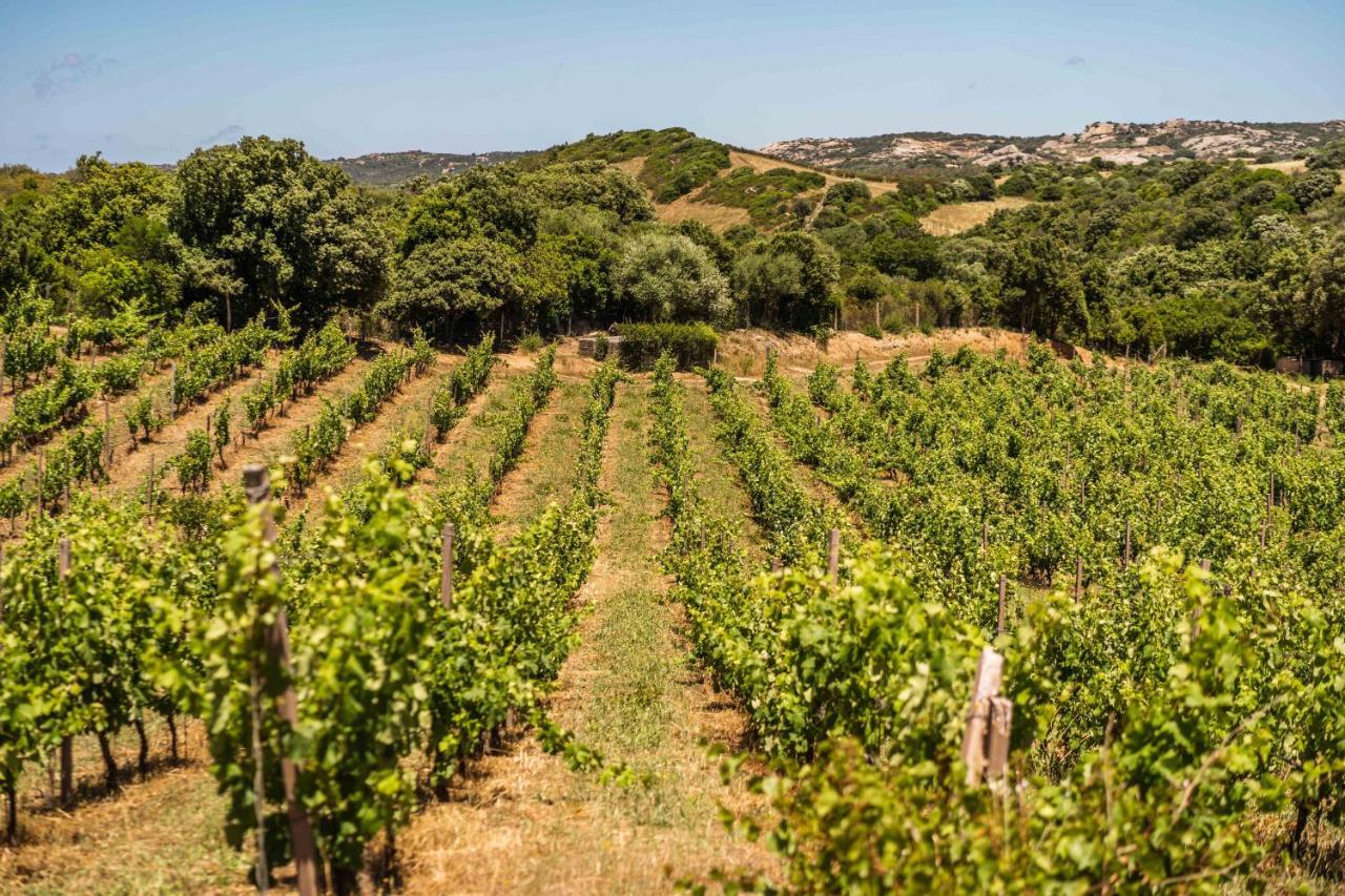 Locanda In Vigna Arzachena Luaran gambar