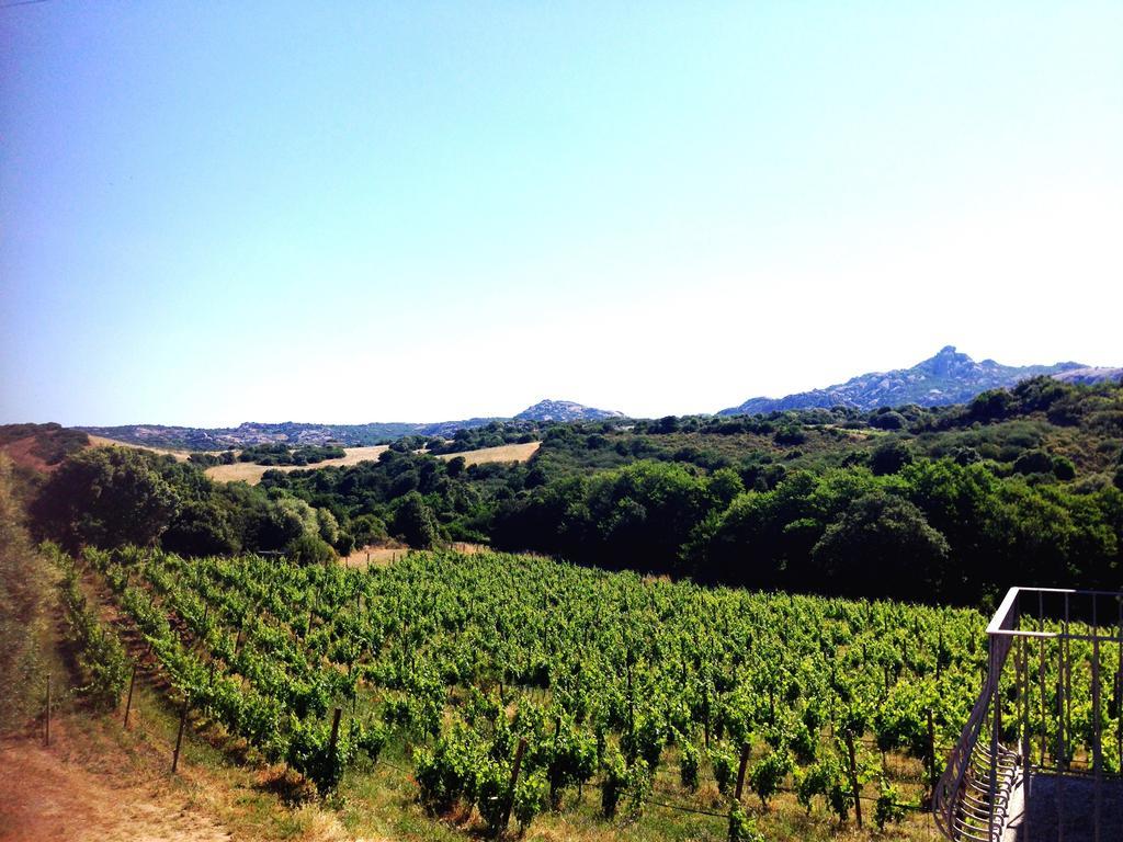 Locanda In Vigna Arzachena Luaran gambar
